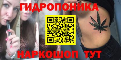 стафф Кулебаки