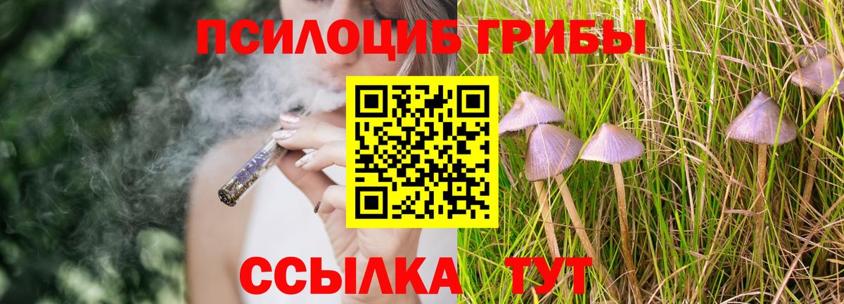 Елабуга  Галлюциногенные грибы Psilocybe  Галлюциногенные грибы GOLDEN TEACHER  Вход с VPN 